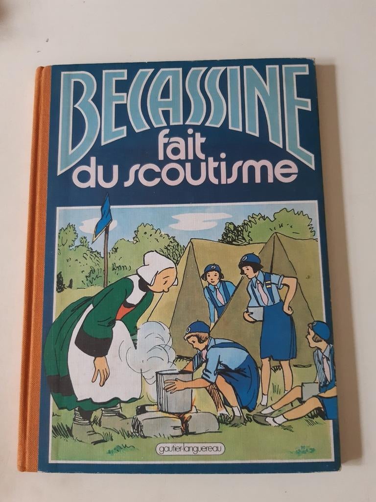 Bécassine fait du scoutisme, Enlèvement ou Envoi