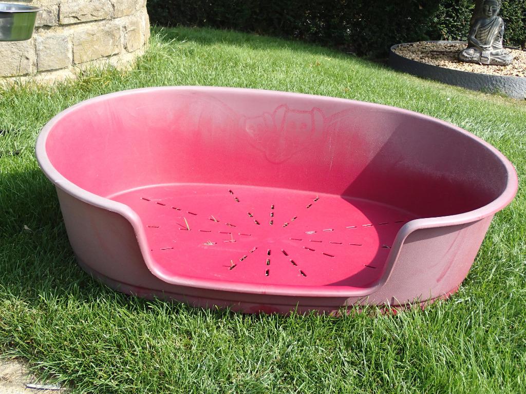 Panier ovale pour grand chien, Enlèvement, Utilisé