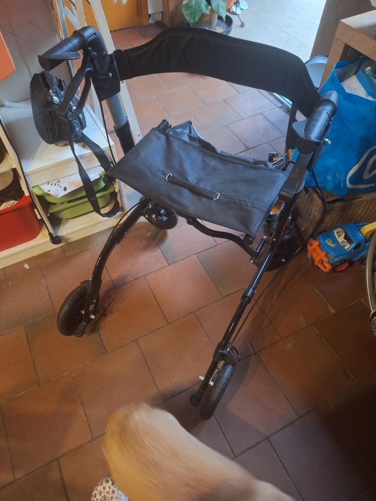 Rollater, Diversen, Rollators, Ophalen