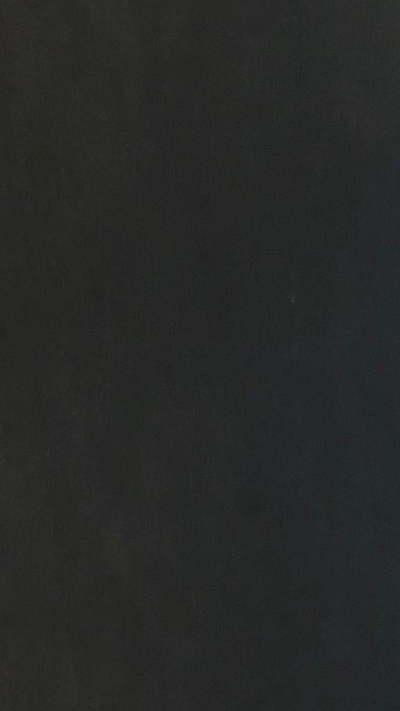 Sculptures Belges 260pag Cantré Caille Bury Minne Bogaert, Ophalen of Verzenden, Zo goed als nieuw, Beeldhouwkunst