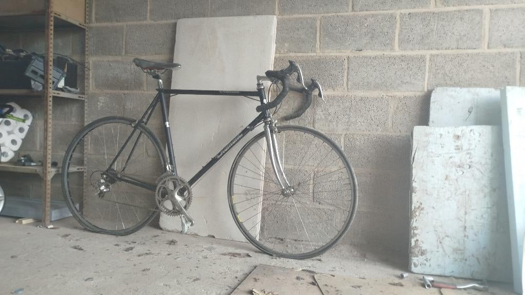 Vélo de course Diamant , Campagnolo Véloce, Enlèvement, Utilisé, Autres marques