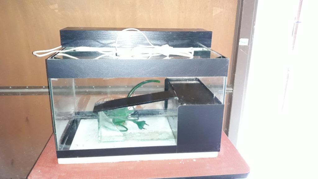 A vendre aquarium, Animaux & Accessoires, Enlèvement, Comme neuf