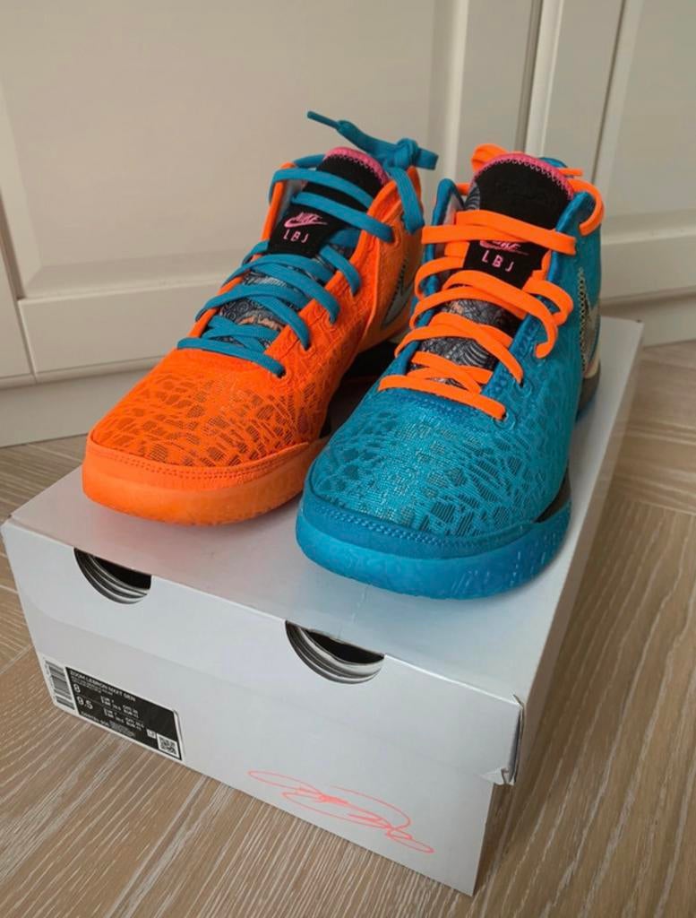 Basket Nike Zoom LeBron NXXT Gen I Promise – Neuves, Enlèvement ou Envoi, Neuf, Chaussures