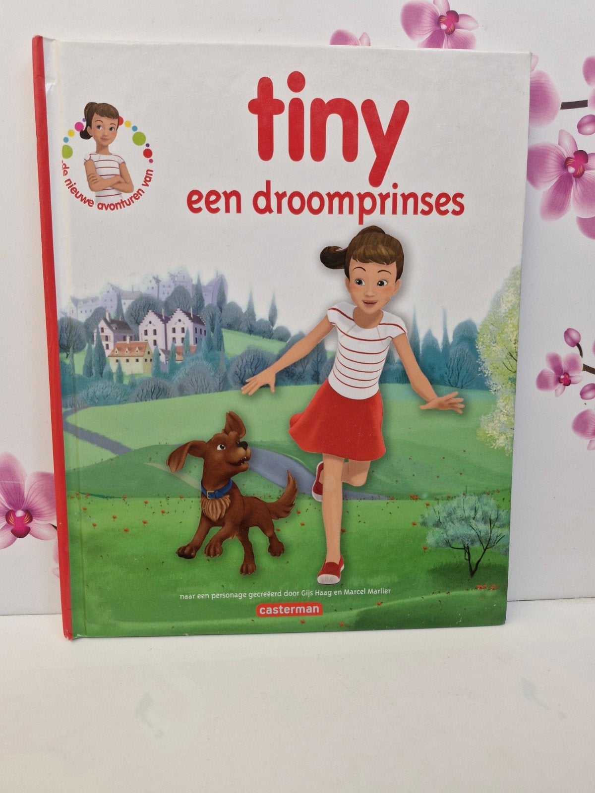 ❤️ Boek: Tiny Een droomprinses, Boeken, Prentenboeken en Plaatjesalbums, Ophalen of Verzenden, Zo goed als nieuw, Gijs Haag en Marcel Marlier