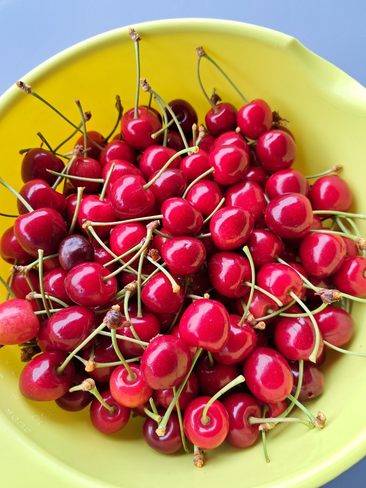 Verse kersen, Tuin en Terras, Ophalen