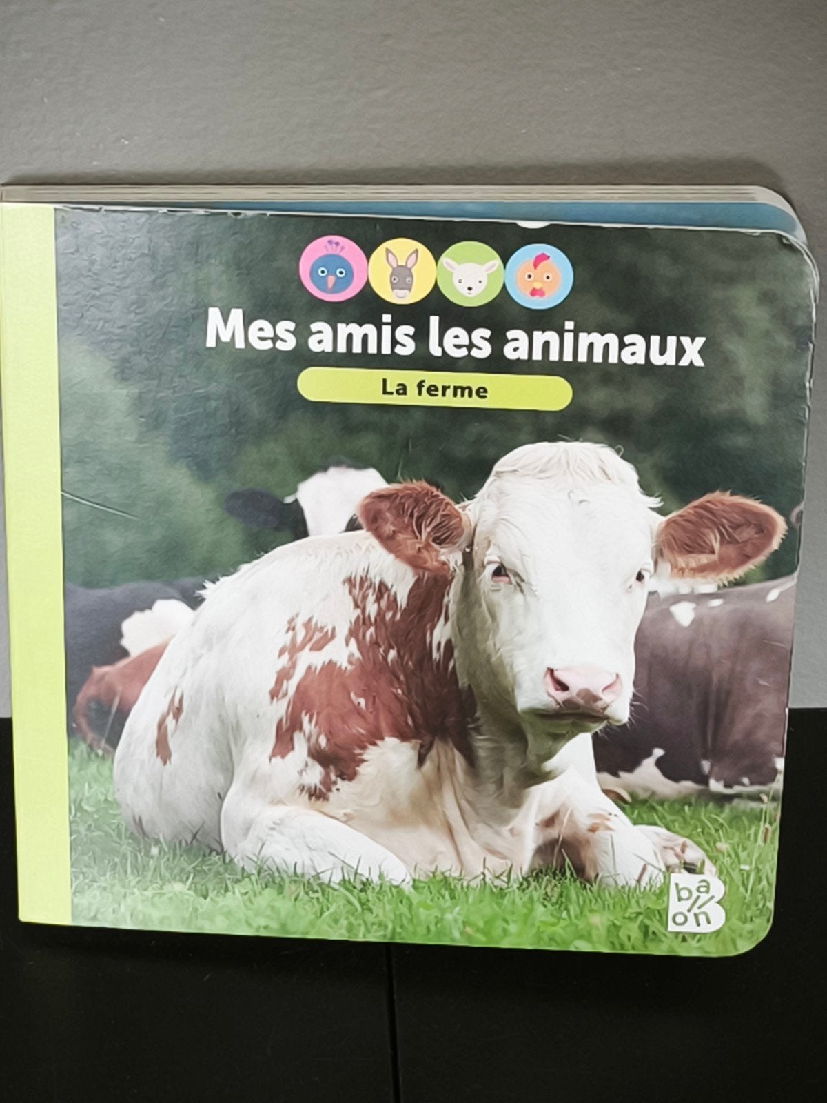 imagier cartonné pour tout petits, Livres, Enlèvement ou Envoi, Neuf