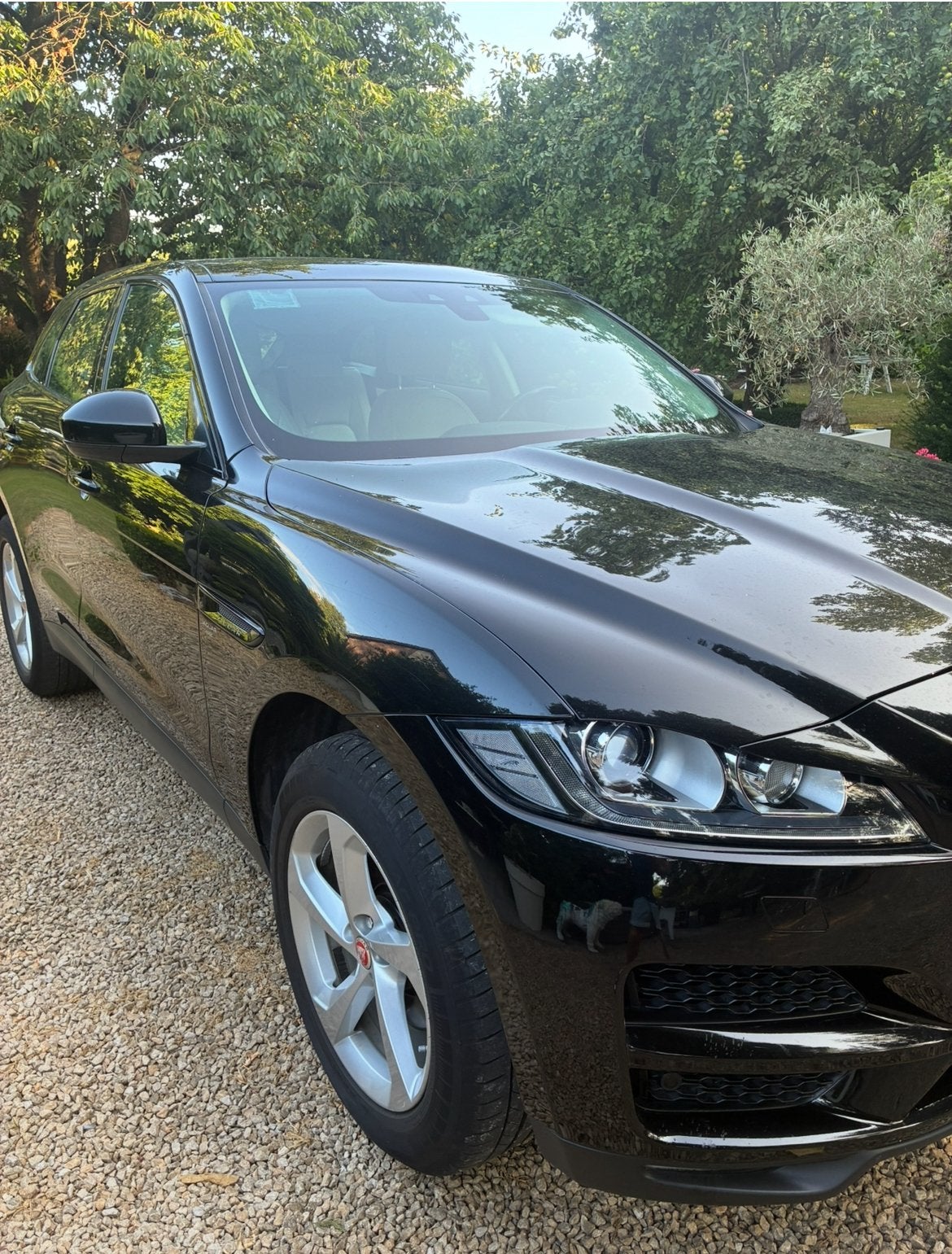 F-Pace in zeer nette staat, Autos, Cuir, 2 places, Entretenue par le concessionnaire, 5 portes