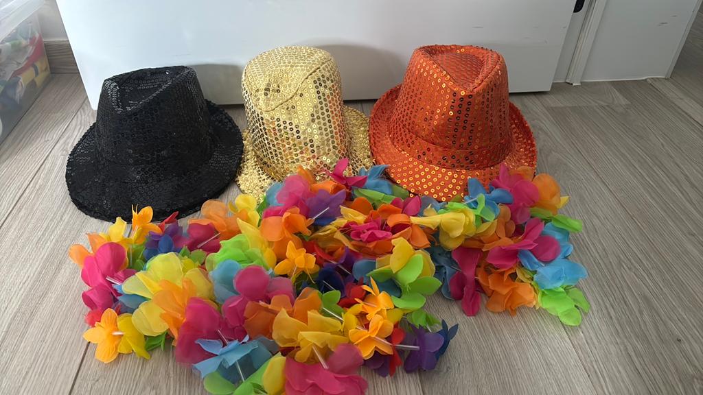 Feesthoeden en een Hawaii bloemenkrans, Kleding | Dames, Carnavalskleding en Feestkleding, Ophalen, Zo goed als nieuw