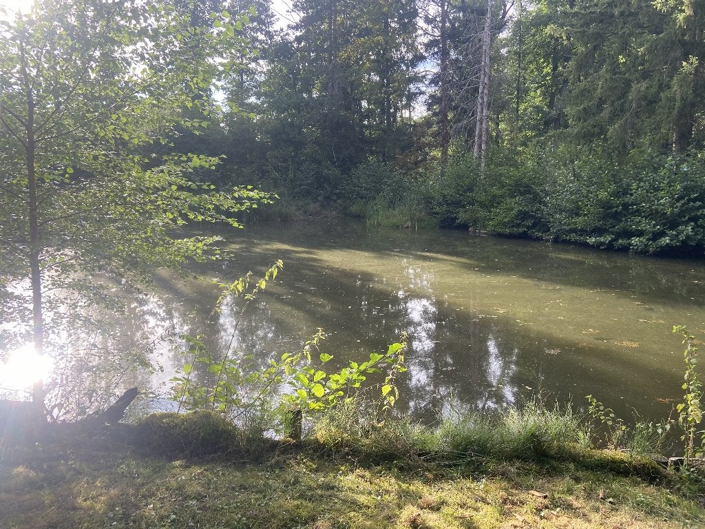 grond te koop, Oudsbergen, Verkoop zonder makelaar, 1500 m² of meer