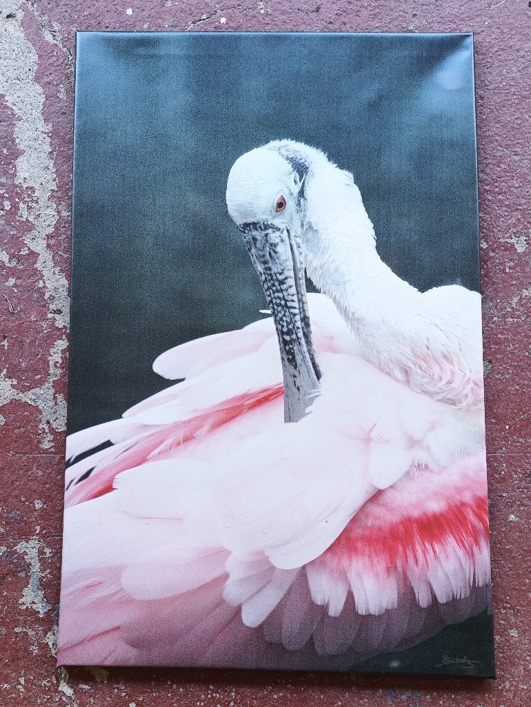 Photographie unique imprimé sur bâche et tendue sur bois, Antiquités & Art, Art | Dessins & Photographie, Enlèvement, Photo, Impression/reproduction