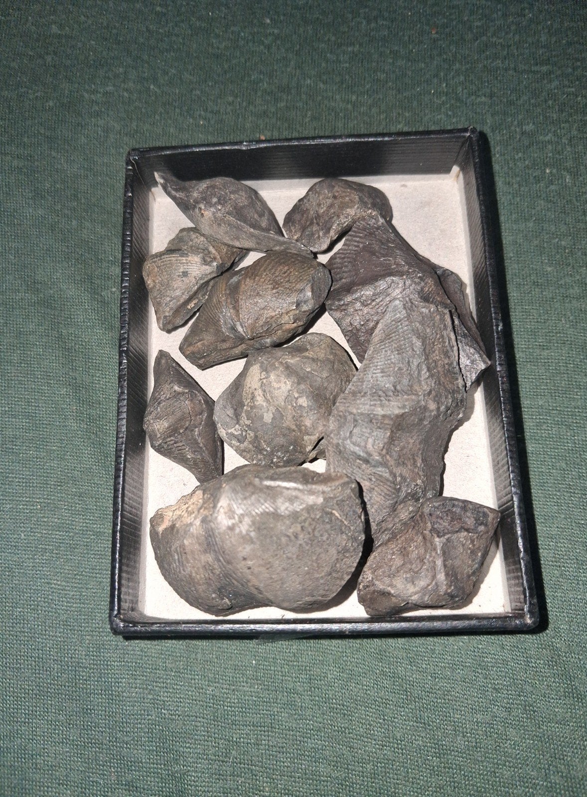 Lot 12 flèches, Enlèvement ou Envoi