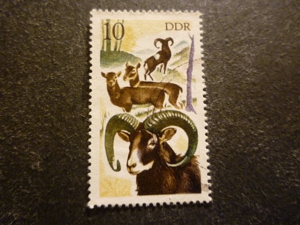 DDR 1977 Mi 2270(o) Gestempeld/Oblitéré, Postzegels en Munten, Verzenden, DDR, Gestempeld