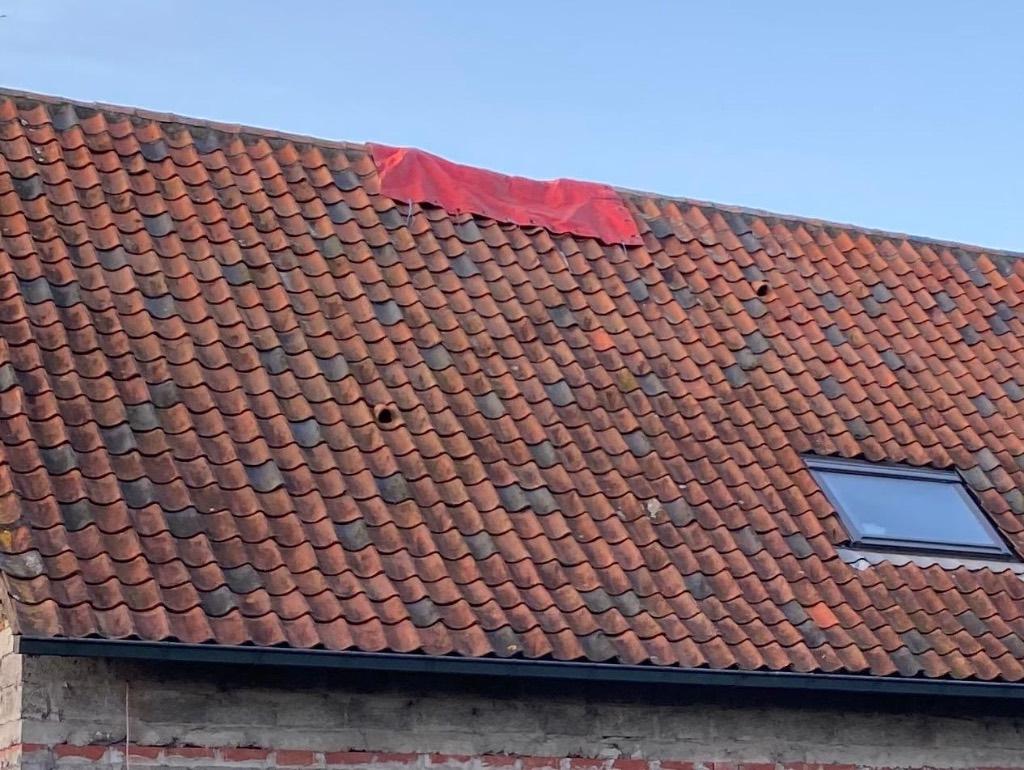 Boomse pannen, Ophalen, Gebruikt, Steen of Klei, Dakpannen
