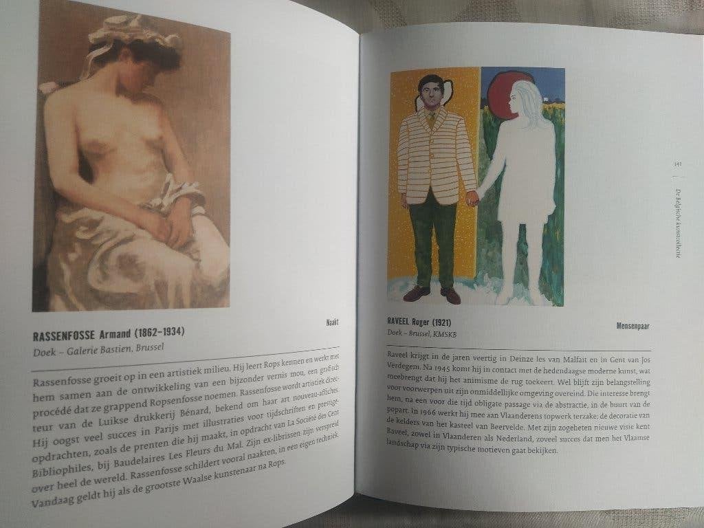 boek: de Belgische kunstcollectie, Enlèvement ou Envoi, Comme neuf, Peinture et dessin