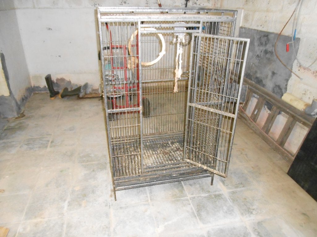GRANDE CAGE PERROQUET, Enlèvement, Utilisé, Métal