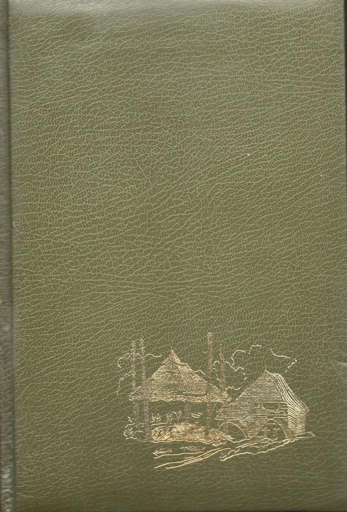 DE TROONOPVOLGER (PSYCHOLOGISCHE ROMAN), Boeken, Romans, België, Ophalen of Verzenden, Zo goed als nieuw, Walter van den Broeck
