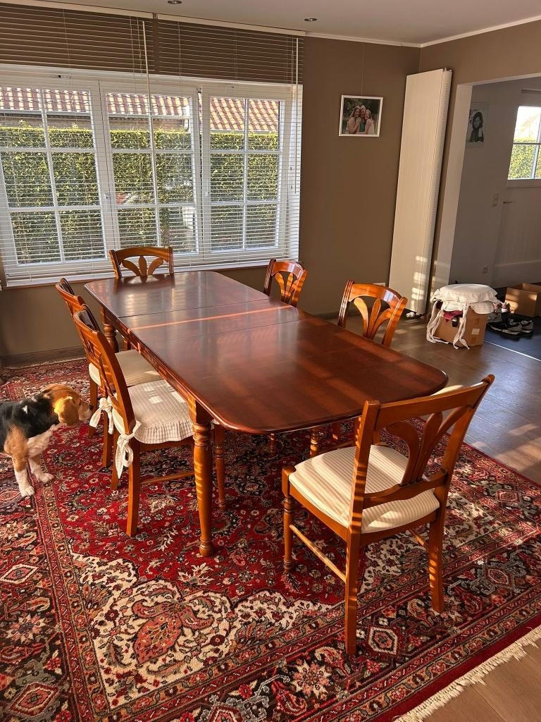 klassieke houten eettafel met 8 stoelen, Huis en Inrichting, Tafels | Eettafels, Gebruikt, 50 tot 100 cm, 200 cm of meer, Vijf personen of meer