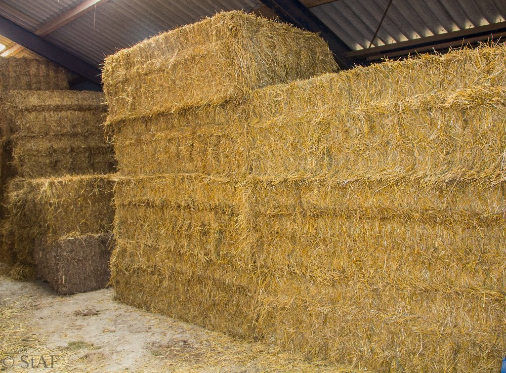grote pakken gerste stro, Dieren en Toebehoren