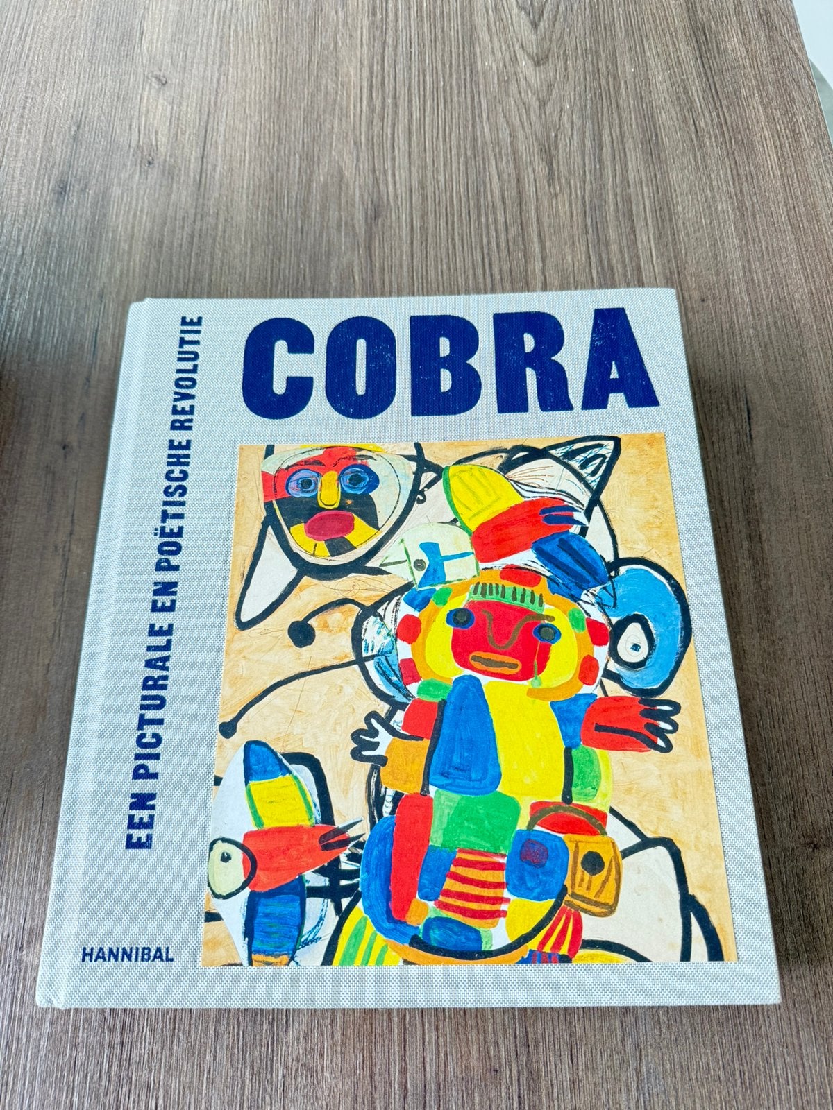 Cobra - Een picturale en poëtische revolutie, Boeken, Ophalen of Verzenden, Zo goed als nieuw
