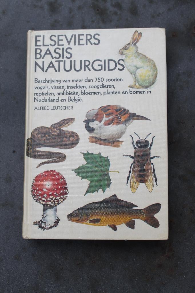 Elseviers Basis Natuurgids, Boeken, Natuur, Zo goed als nieuw, Vogels, Ophalen of Verzenden
