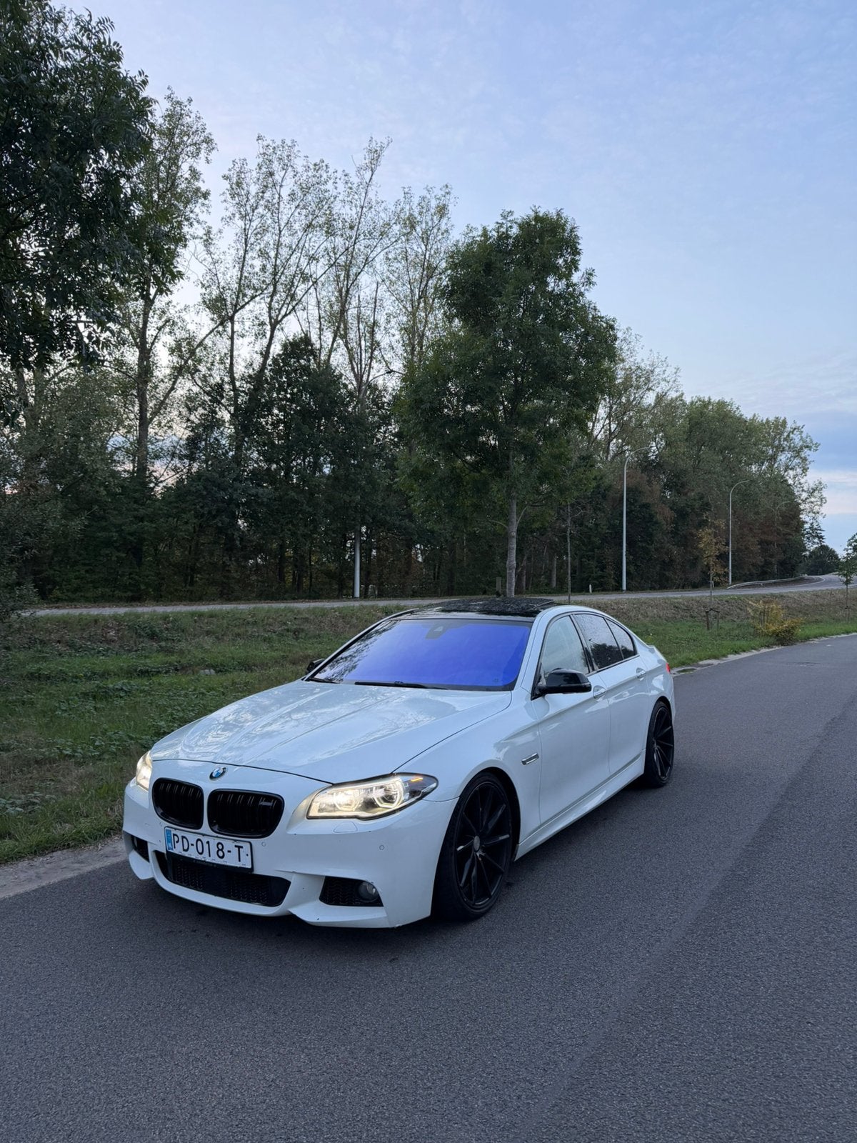 BMW F10 530d Euro 6 – 258 pk (190 kW) facelift, Auto's, BMW, Euro 6, Particulier, Cruise Control, Te koop
