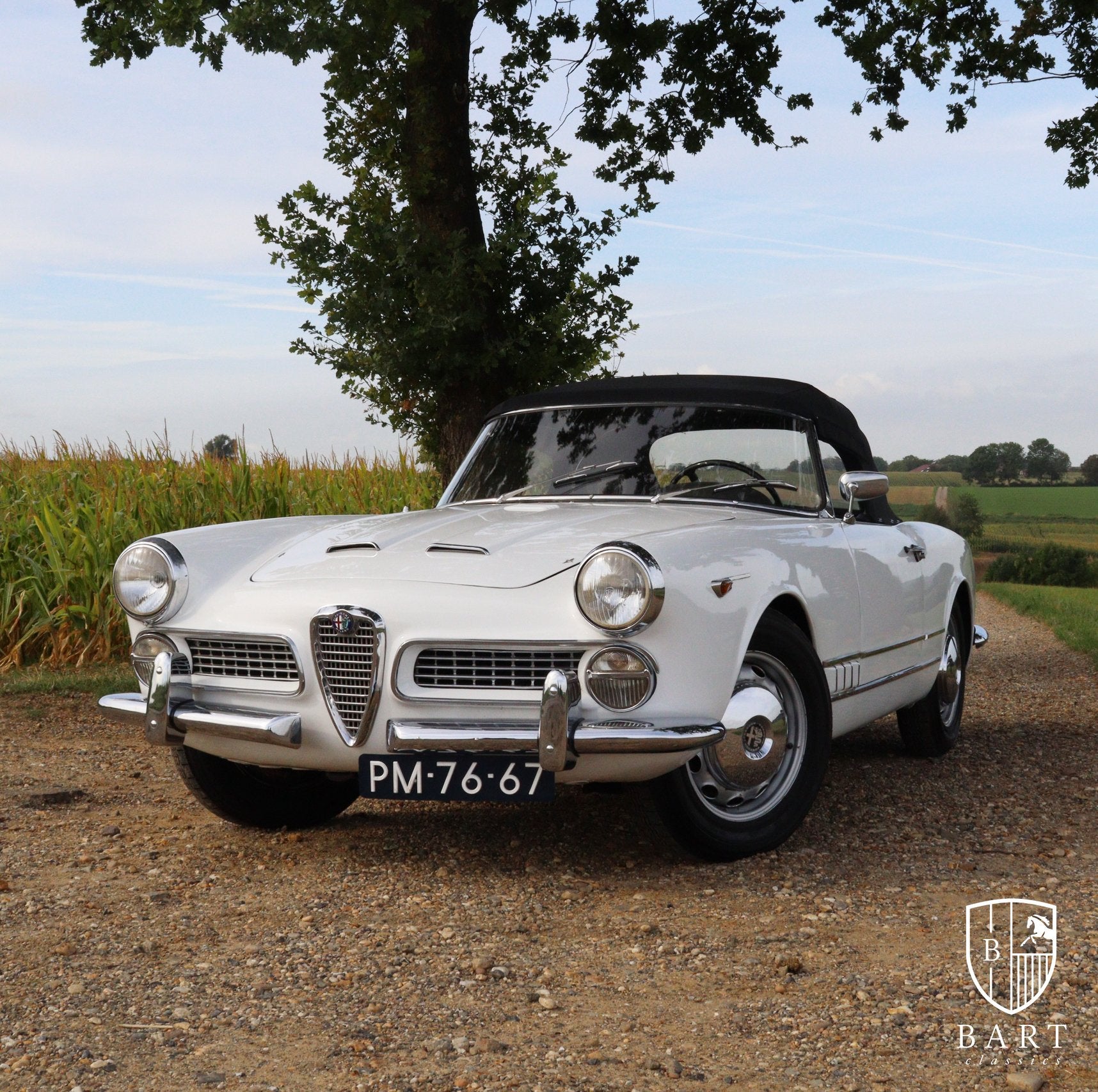 Alfa Romeo 2000 Touring Spider, Autos, Autres modèles, Cabriolet, Boîte manuelle, Noir