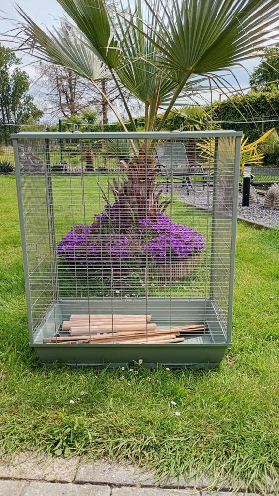 Vogelkooi zolux neolife 80xl groen, Dieren en Toebehoren, Vogels | Hokken en Kooien, Ophalen