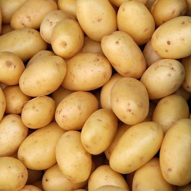 Voederaardappelen