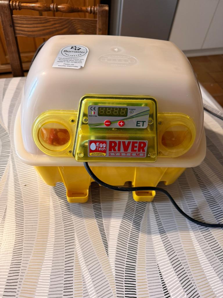 Incubateur d’oeuf et couveuse, Enlèvement, Comme neuf, Couveuse