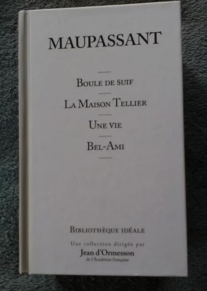 "Boule de suif, La Maison Tellier, Une vie, Bel-Ami" 2009, Neuf, Enlèvement ou Envoi, Belgique, Maupassant