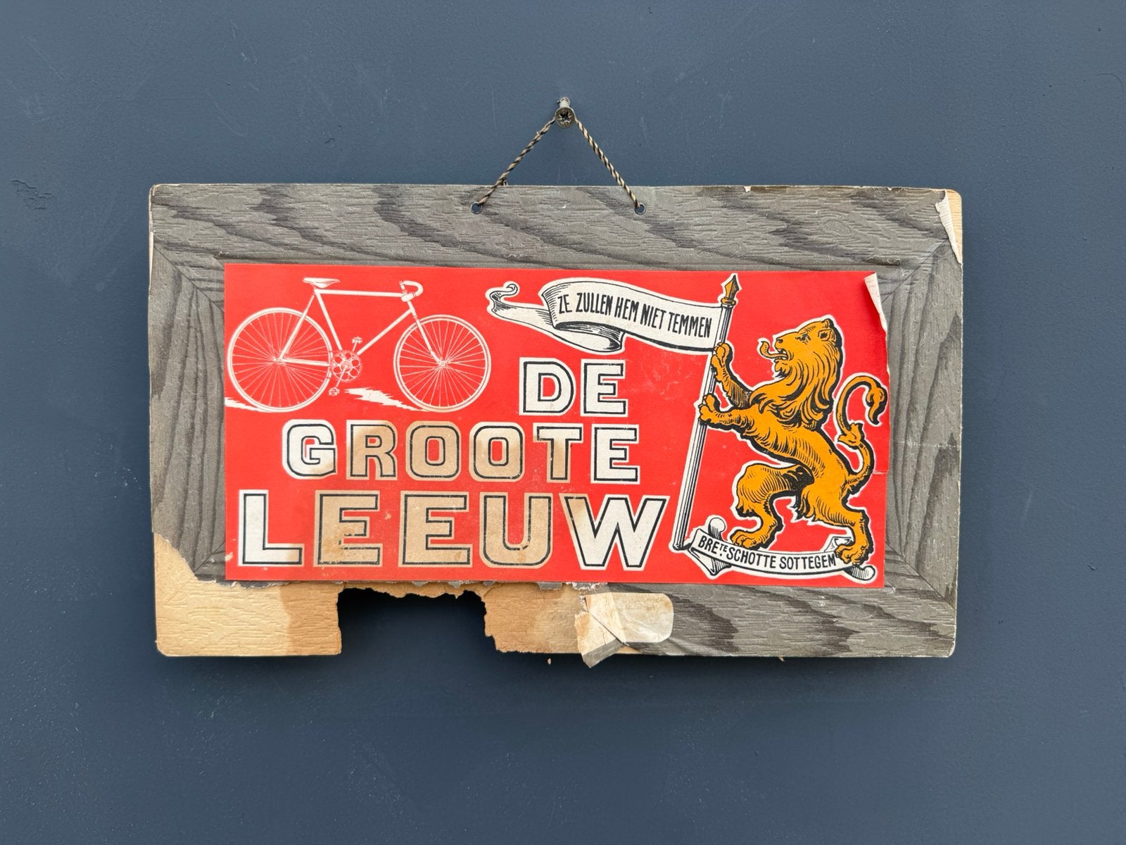 De Groote Leeuw fietsen reclamebord, Ophalen of Verzenden, Gebruikt, Reclamebord