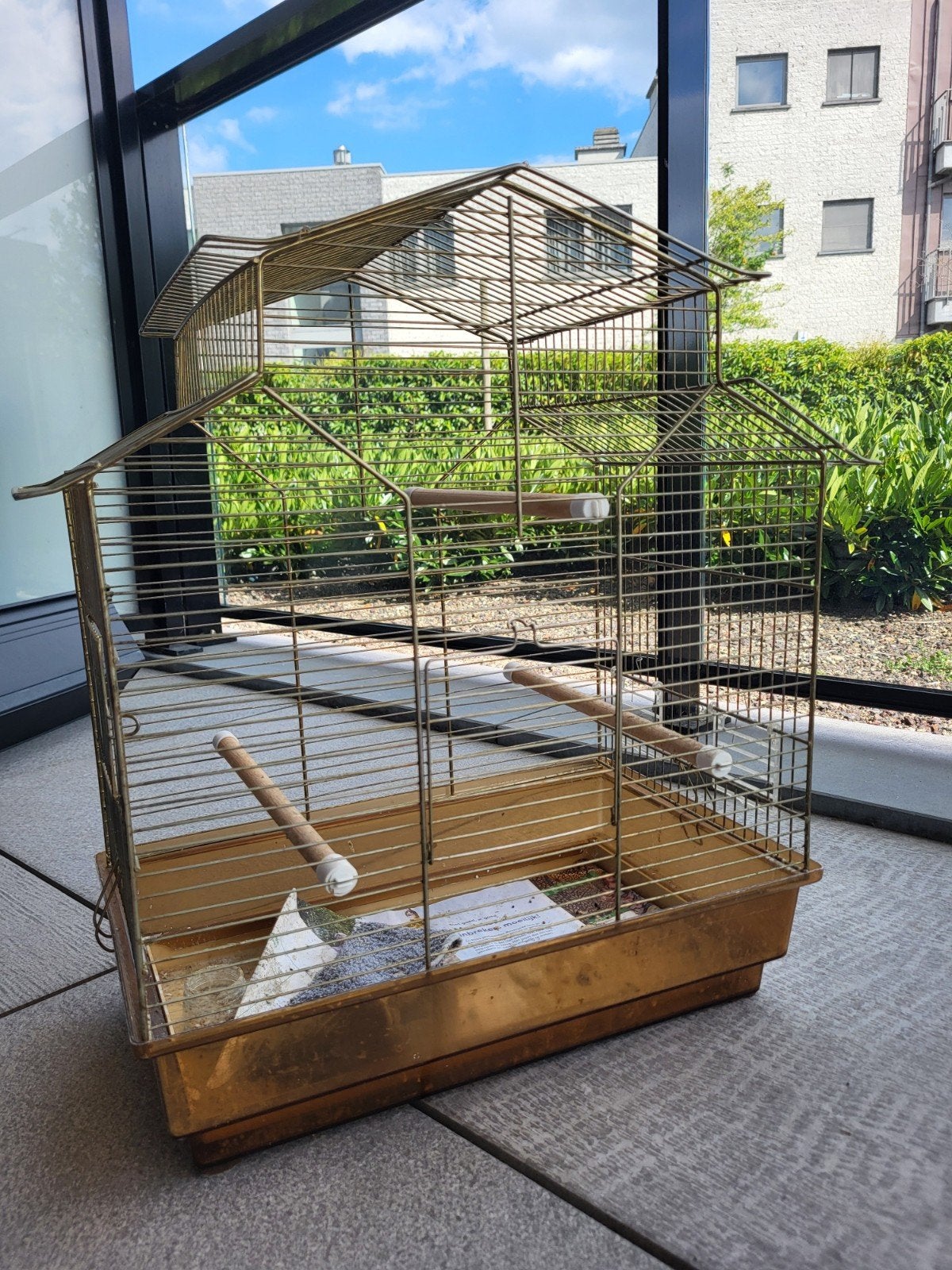cage pour oiseau, Enlèvement