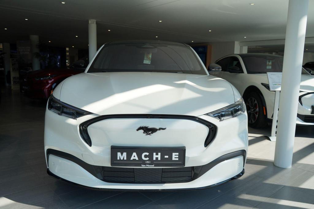 Ford Mustang Mach-E 76kWh AWD Premium - Pano - Camera, Entreprise, 5 portes, 5 places, Quatre roues motrices / 4X4