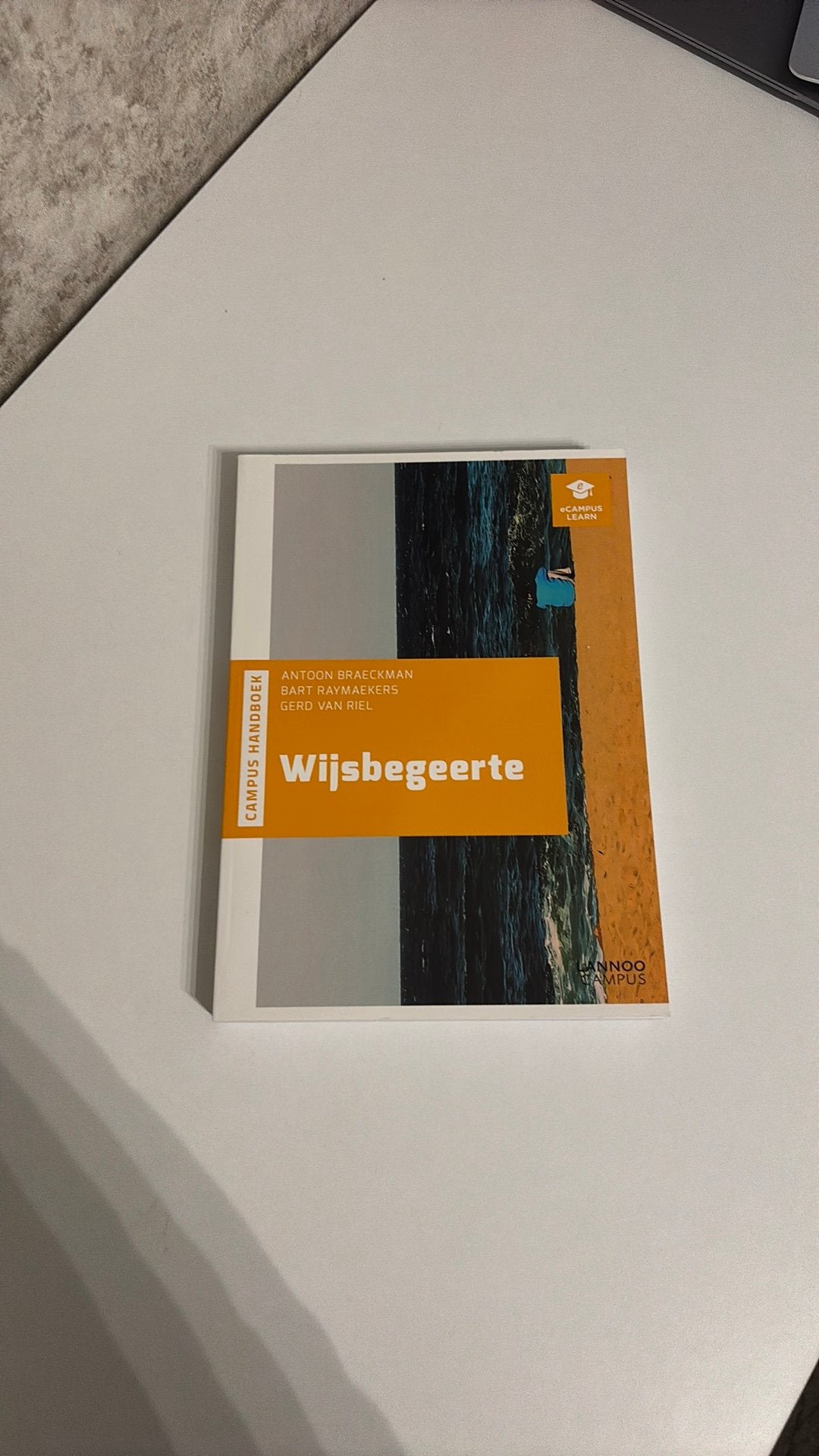 Bart Raymaekers - Wijsbegeerte, Boeken, Filosofie, Ophalen of Verzenden