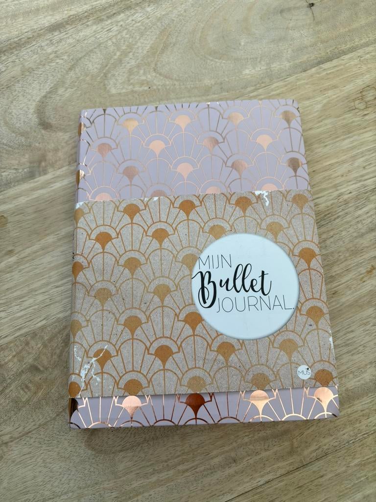 Bullet journal, Divers, Cahiers de notes, Enlèvement ou Envoi, Comme neuf