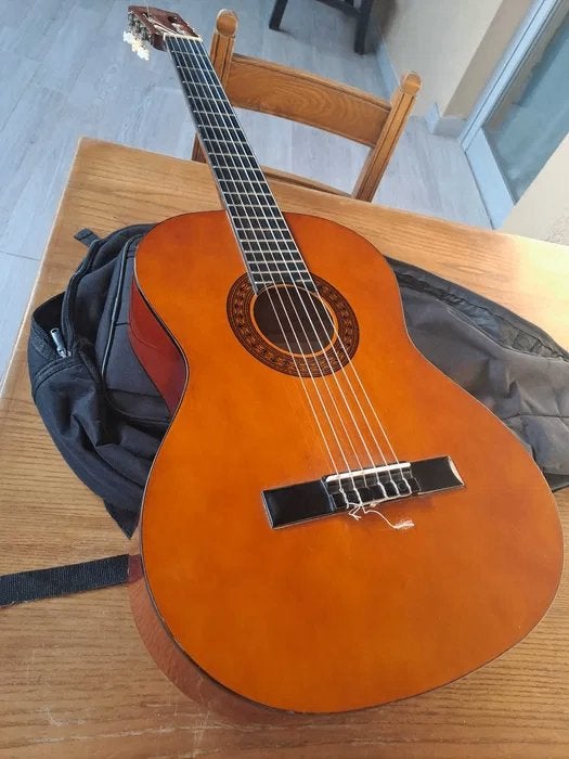 Stagg C542 + hoes zgan, Muziek en Instrumenten, Ophalen of Verzenden, Zo goed als nieuw, Klassieke of Spaanse gitaar