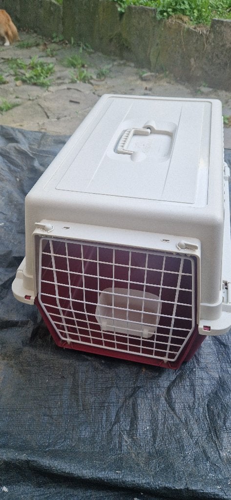 boîte de transport pour animaux, Enlèvement, Utilisé