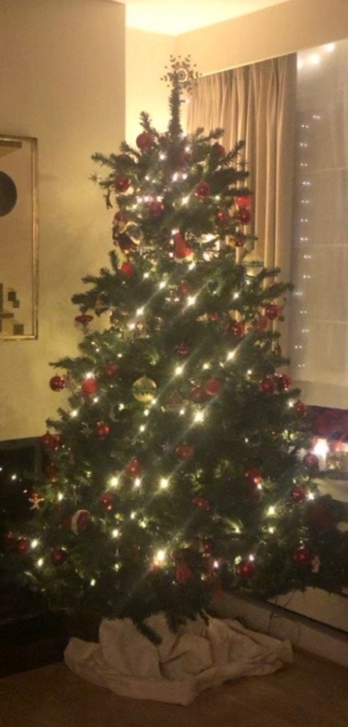 Sapin  de Noël, Enlèvement, Utilisé