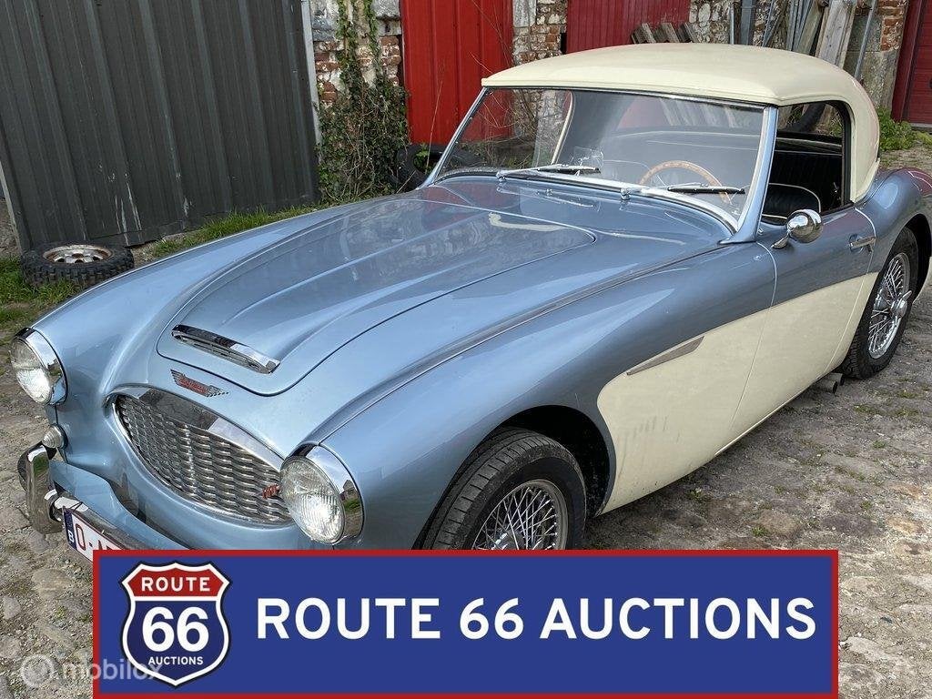 Austin-Healey 100-6 BN4 | 1957 | Route 66 Auctions, Autos, Entreprise, Boîte manuelle, Autre carrosserie, Essence