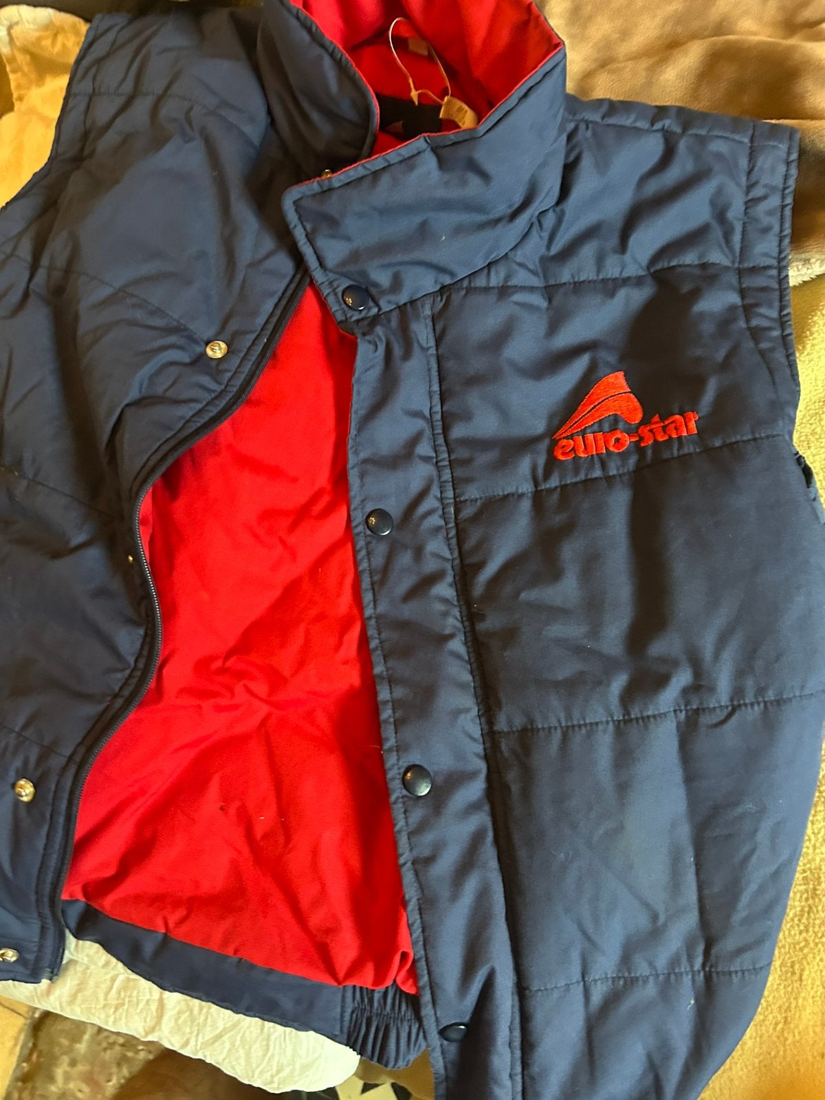 Gilet pour le corps Euro Star, Vêtements | Hommes, Blousons sans Manches, Enlèvement, Comme neuf
