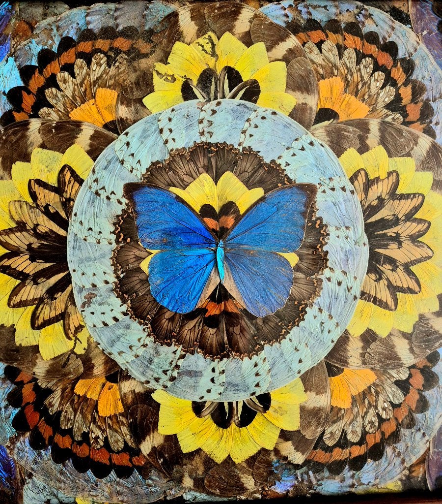 Art Deco-dienblad met echte vlinders 1920 - groot formaat!, Antiek en Kunst, Ophalen of Verzenden