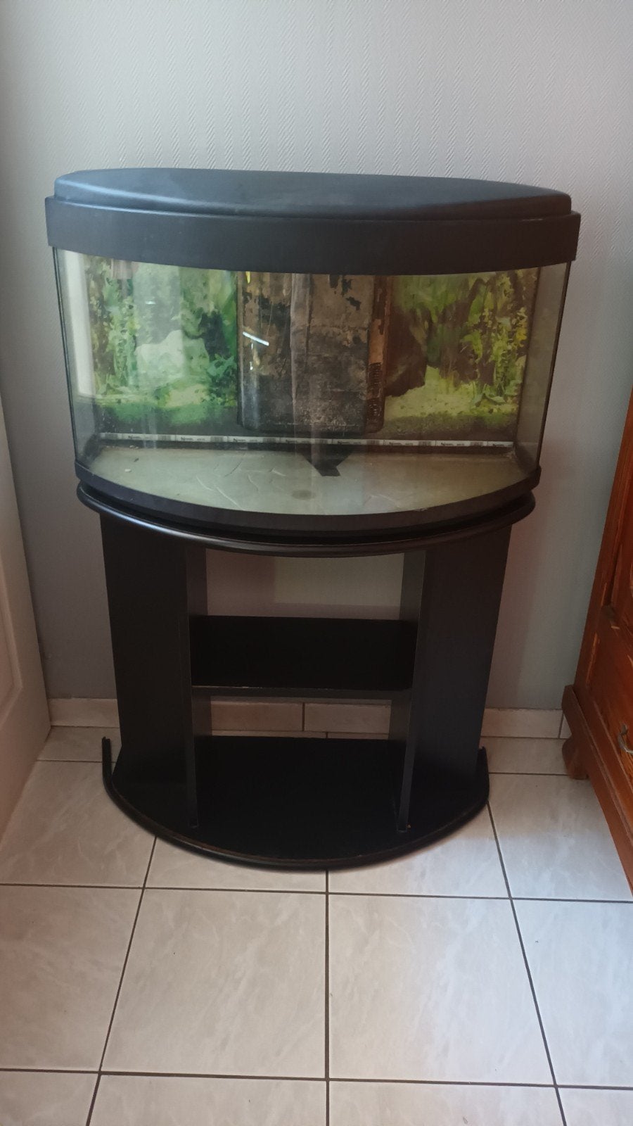 gebogen aquarium van 120 l + kast, Dieren en Toebehoren, Ophalen, Gebruikt, Leeg aquarium