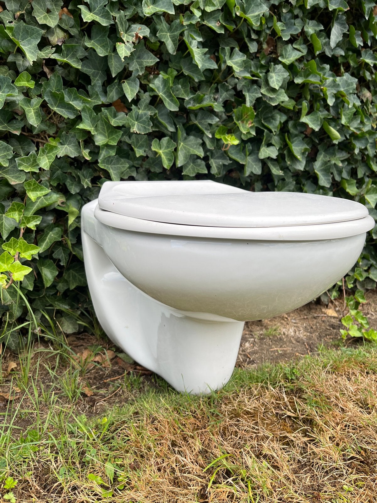 Toilet, Ophalen, Gebruikt, Toilet