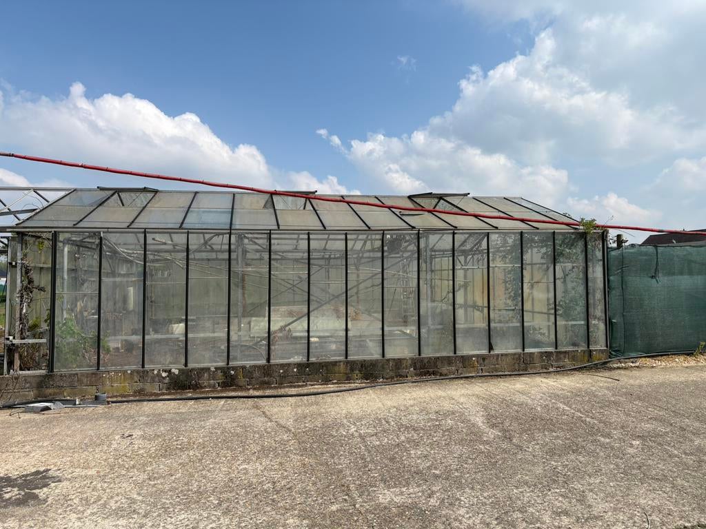 Serre te koop, Tuin en Terras, Kassen, Ophalen, Zo goed als nieuw
