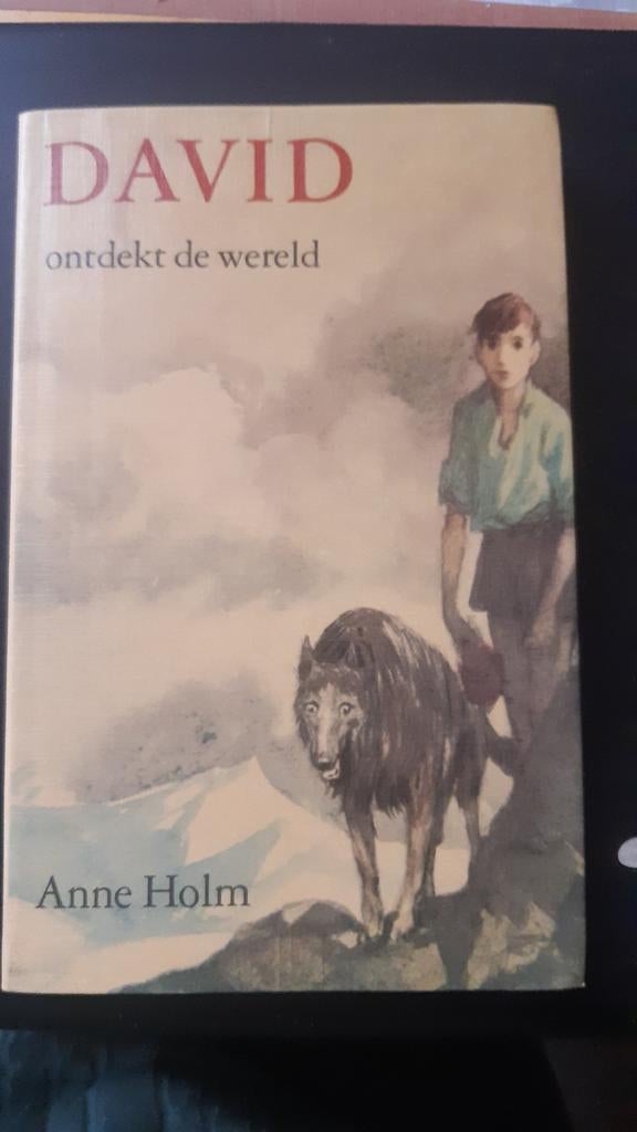 Holm - David ondekt de wereld, Ophalen of Verzenden, Holm