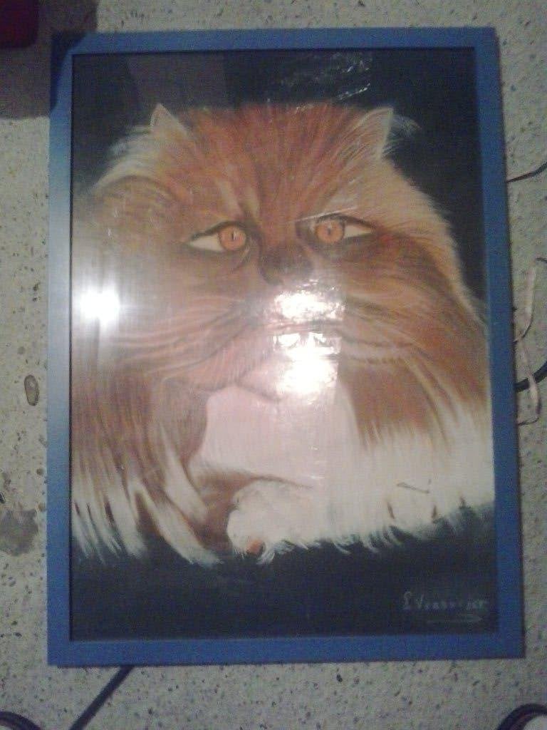 grote kader schilderij poes, Enlèvement ou Envoi