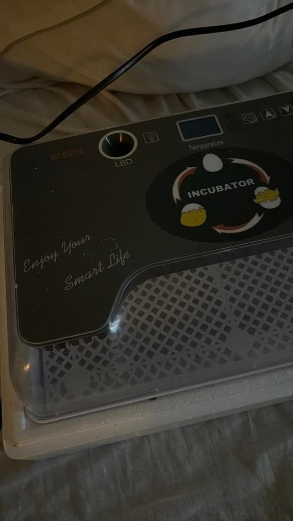 Incubator, Enlèvement ou Envoi, Comme neuf