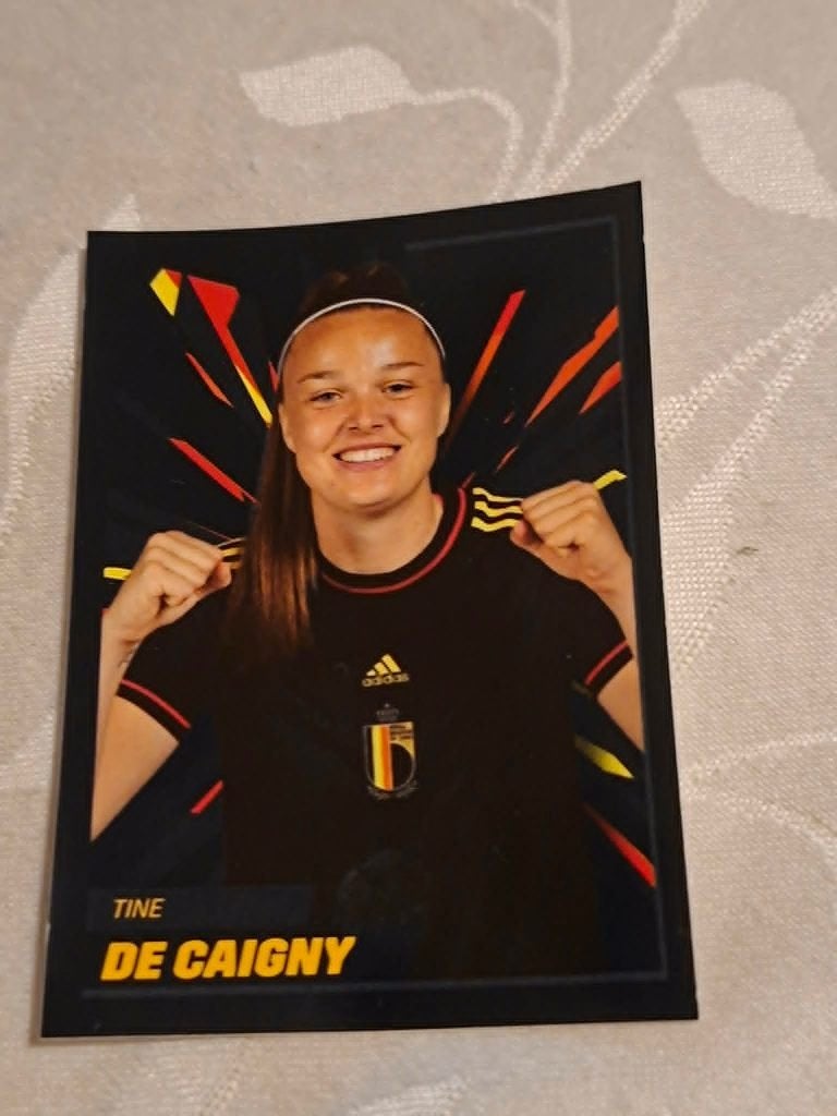 Panini/Sticker/Tine De Caigny / Belgian Red Flames, Ophalen of Verzenden, Nieuw, Poster, Plaatje of Sticker