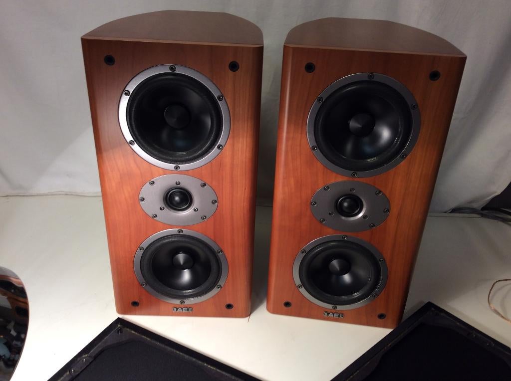 luidspreker Acoustic energy Aelite two, Audio, Tv en Foto, Luidsprekerboxen, Ophalen of Verzenden, Zo goed als nieuw, Overige merken