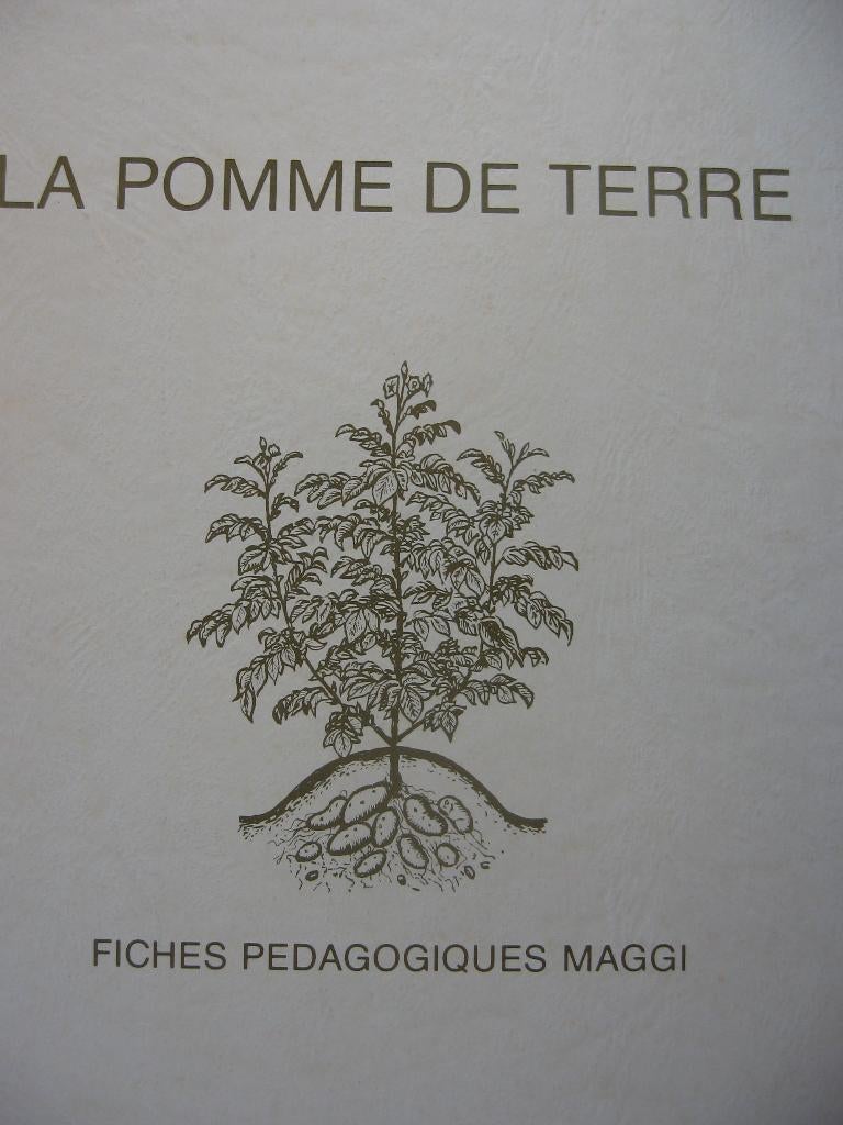Farde sur la pomme de terre : fiches pédagogiques de Maggy., Divers, Fournitures scolaires, Enlèvement ou Envoi, Neuf